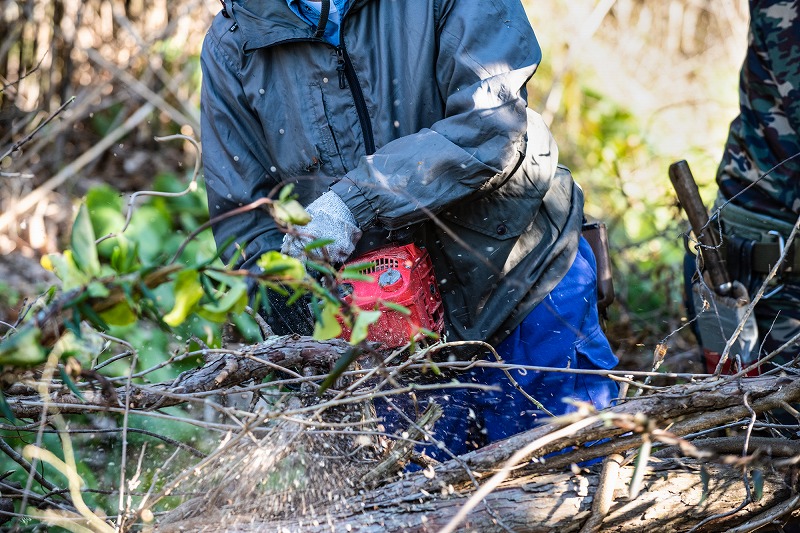 林業　下刈り